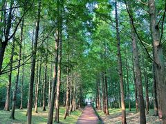 -东钱湖旅游度假区