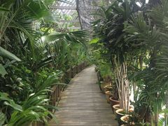 海上建了个类似‘水上植物园’-卡帕莱度假村(西巴丹岛)