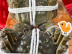 -阳澄湖大闸蟹·琼灵阁牌品牌连锁(吴中总店)