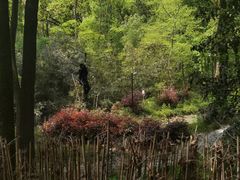 -WeLope紫金山探险公园