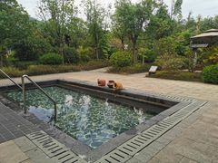 -凤翔首邑温泉度假村