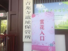 -西安青龙寺遗址景区