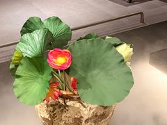 -单家老院·院子里的青岛菜(沙子口店)