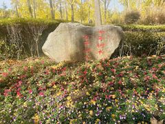 -黄兴公园