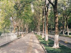 -后襄河公园