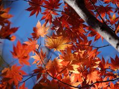 -丹东天桥沟景区