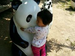 android_upload_pic-西安秦岭野生动物园