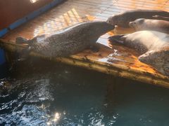 -大连圣亚海洋世界