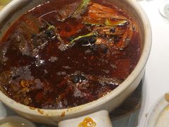 -眉州东坡(博雅店)