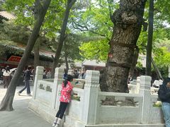 -潭柘寺景区
