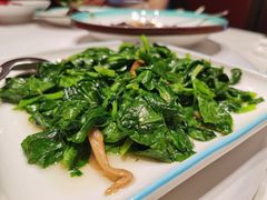 松茸炒豆苗-上海老饭店(北京分店)