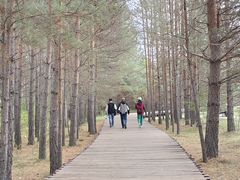 -北极村旅游风景区