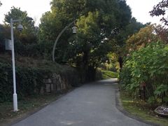 -白马涧龙池景区