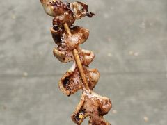 -西双版纳傣族园