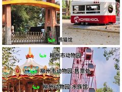 -柳州市动物园