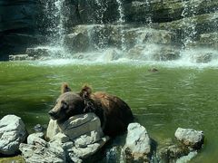 -北京野生动物园