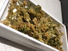 干菜花-串一火锅(赛格国际购物中心店)