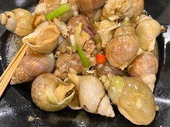 翡翠螺-天宝食坊·啫啫煲大排档(西华路店)