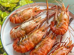 -徐岛主·特色农家乐(阳澄湖莲花岛店)