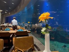 -海棠湾洲际-涛·海底餐厅·美人鱼·自助餐·海底隧道
