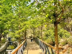 -白水寺森林公园