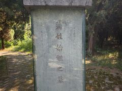 -淄博聊斋城景区
