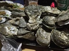 -八一湛江生蚝(文明东路总店)