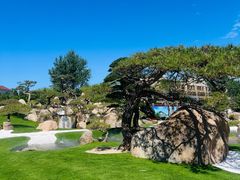 -罗红摄影艺术馆