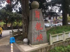 -磐安舞龙峡景区
