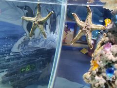 -太平洋海底世界