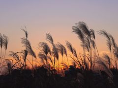 -乌龙涧铁道铁轨景