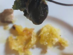 -金蜗牛