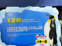 -珠海长隆海洋王国