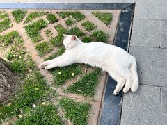 -北京鲁迅博物馆(北京新文化运动纪念馆鲁博馆区)