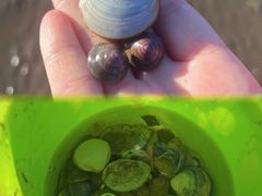 -启东黄金海滩景区