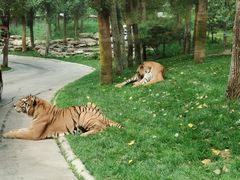 -北京野生动物园