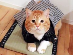 -BLT精品超市(国贸商城店)