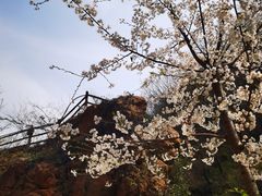 -伏羲大峡谷