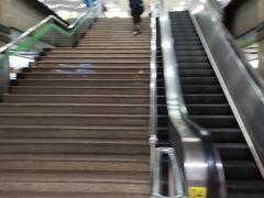 -上海科技馆(地铁站)