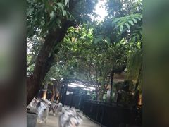 -TrueLove @ Neverland (Husky Cafe)