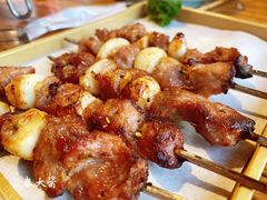 -鼎原力量东北吊炉烧烤(临河街店)