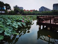 -中国农业博物馆