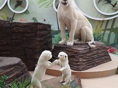 -陕西自然博物馆