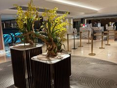 -香港皇家太平洋酒店