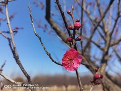 -江苏三台山国家森林公园