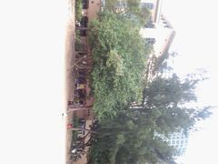 android_upload_pic-挪亚方舟度假酒店