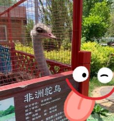 -萌宠亲子动物乐园(槐房万达店)