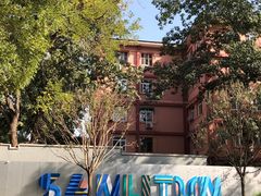 -三里屯东五街银杏大道