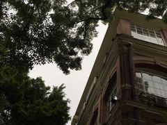 -中山大学学者灵芝(园南路店)