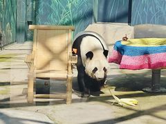 -鄂尔多斯野生动物园